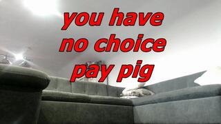 you have no choice pay pig (MOV)
