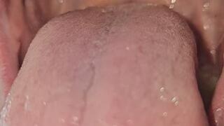 Vickys Mouth Tour