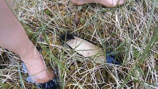 Take the measurements