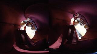 3DVR180 GAOYU played with the dwarfs in his bag