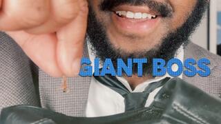 Giant Boss - Cruel Punishment