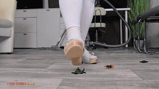 Mila - The Nurse - sweet spiders