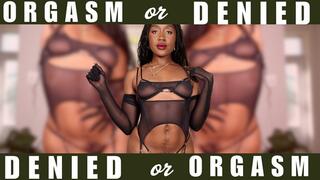 Orgasm or Denied JOI