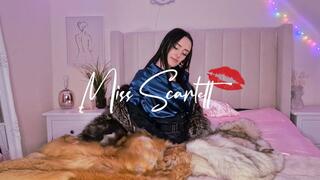 Scarlett's teal satin blouse and grey fox fur fuck