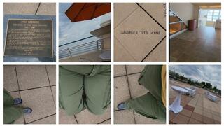 ASMRING ON THE Monona Terrace Inspired By Frank Lloyd Wright Locating Otis Redding Memorial