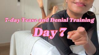7-day Tease and Denial Training (Day 7)