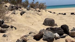 Hiding on Public Beach and peeing