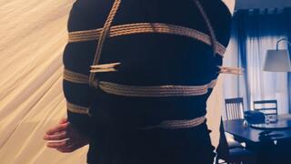 9E69DDDD 10C8 4570 B343 3FD51AB64CBF