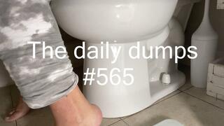 The daily dumps #565 mp4