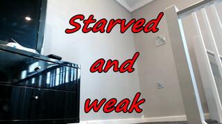Starved and weak (MOV)