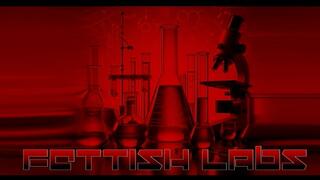 The Impact Table - Ashleigh