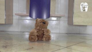 Poor Teddy under High Heels