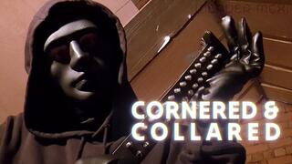 CORNERED AND COLLARED (Highly Immersive Taken Captive Fantasy)