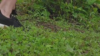 Sassy does yard work