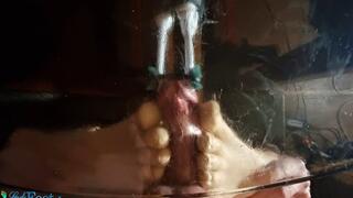 Glass Table Cock Trample Tickle HD