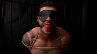 BONDAGE & DISCIPLINE - PART 2