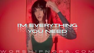 I'm Everything You Need