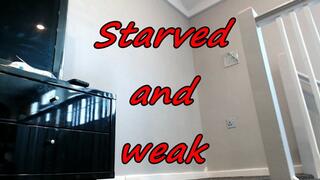 Starved and weak (AVI)
