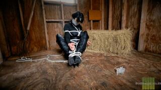 Nyxon A Lesson In Bargining Pt 2 HD 1080p MP4