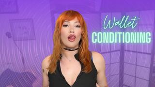 Wallet Conditioning [Mesmerize]