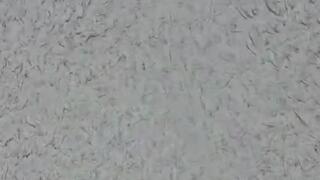 Valentina's Massive Feet