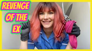 Revenge of the Ex: Surgical Castration and Mind Control