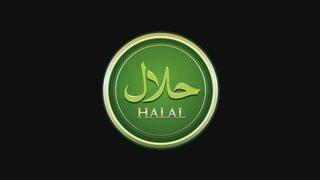 Sadias Devotion - BRAINWASHING AUDIO