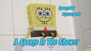 A Sponge in the Shower