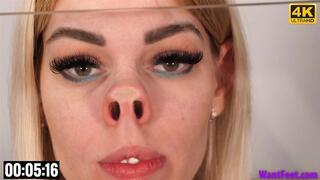 Nose on Glass - 4K MP4