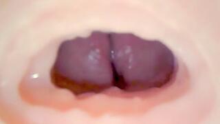 Fucking my fake pussy internal view and cum inside