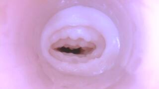 Cum Inside Fake Pussy