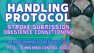 REPROGRAMMED - 15 Min Mind Control JOI, Brainwash Stroke Addiction, Edging, Cock Obedience