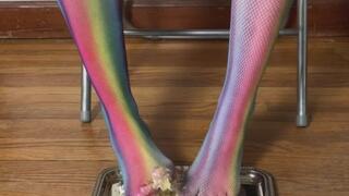 Cake Smash Rainbow Fishnets