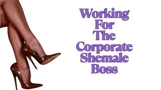** Working For The Corporate Shemale Boss **