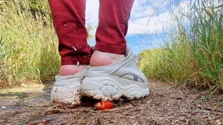 Buffalo Clogs and the Taste of Control - Tomato & Mozzarella