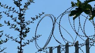 Armpit JOI in the Prison