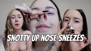 Snotty up Nose Sneezing