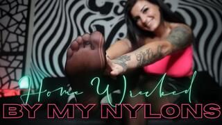 Homewrecked By My Nylons