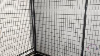 Brigit Heart and Sinthia Bee Cage Wrestle