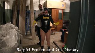 Batgirl Frozen solid and on display