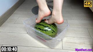Curly Watermelon Crush - 4K MP4