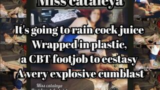 Miss Cataleya It's going to rain cock juice Wrapped in plastic, a CBT footjob to ecstasy A very explosive cumblast