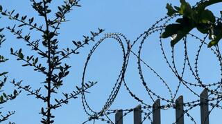 Armpit JOI in the Prison 4K