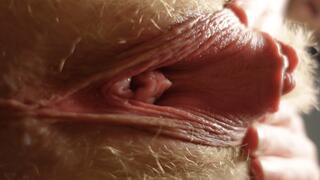 POV riding your face with my beefy pussy