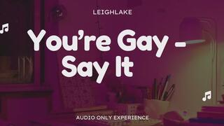 You're Gay, Say It! - Audio Only with LeighLake