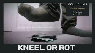 Findémon - Kneel or Rot - LV1 Findom