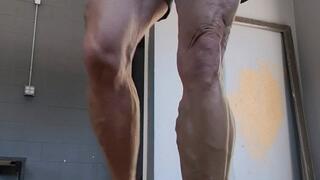 Tempest sweeping Greyhound