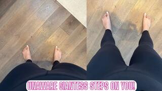 Unaware Giantess Steps on You!