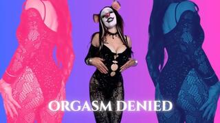 Orgasm DENIED!