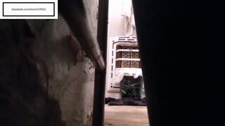 Delicious Sissie 5x Gas then last two was SLUDGE